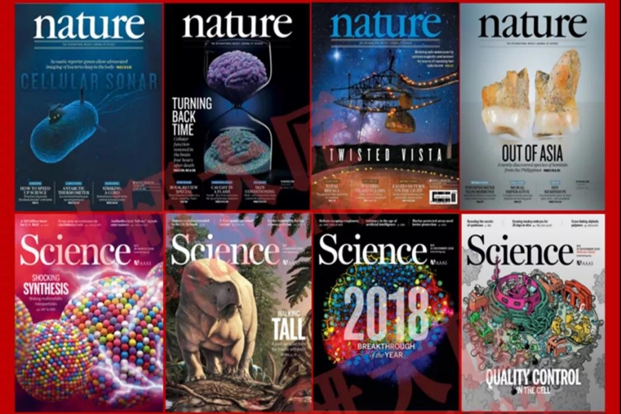 天然与科学中的流体力学